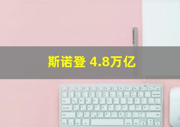 斯诺登 4.8万亿